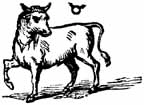 Taurus Bull Symbol sketch of a bull