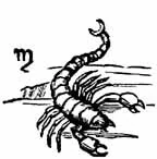 Scorpio sign sketch