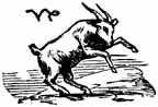 Capricorn sign art: sea goat sketch