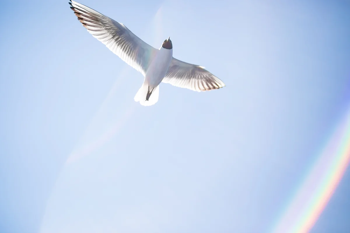 Photo of vibe of Uranus transits to Ascendant