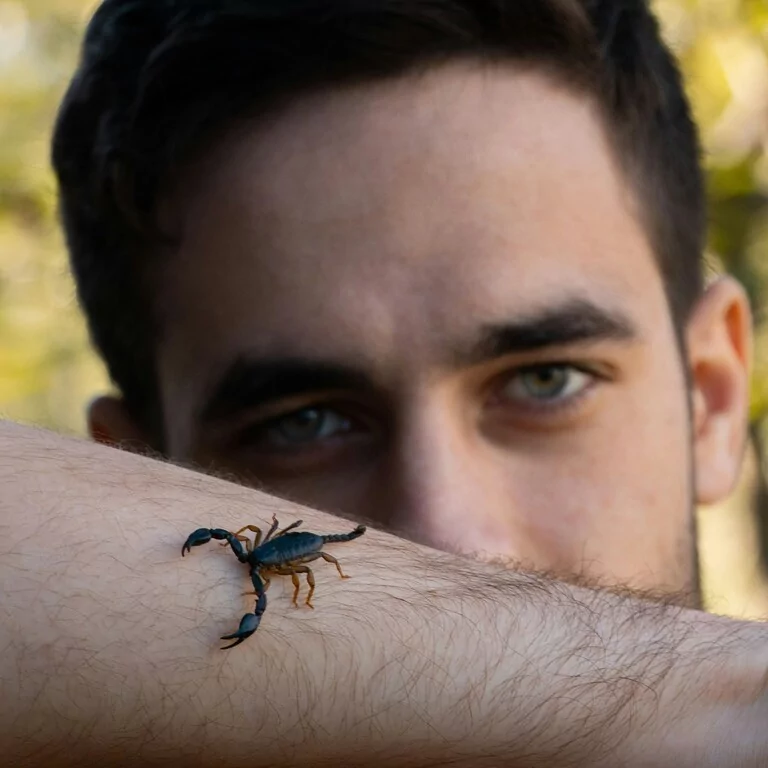 A person with a small scorpion bug