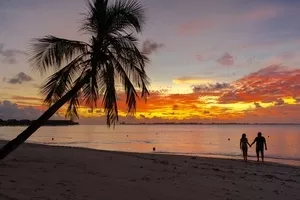 A couple holding hands on a beach at sunset